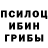 Галлюциногенные грибы прущие грибы popengut