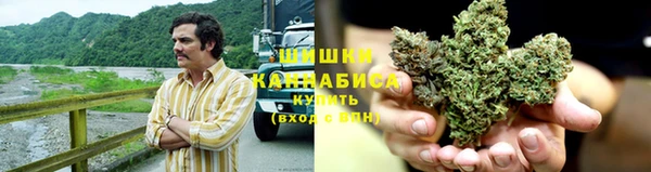 стаф Липки