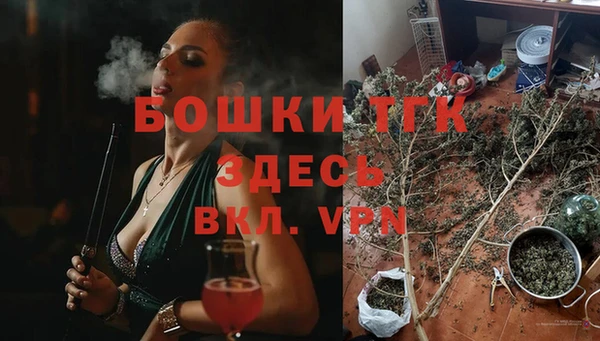 стаф Липки