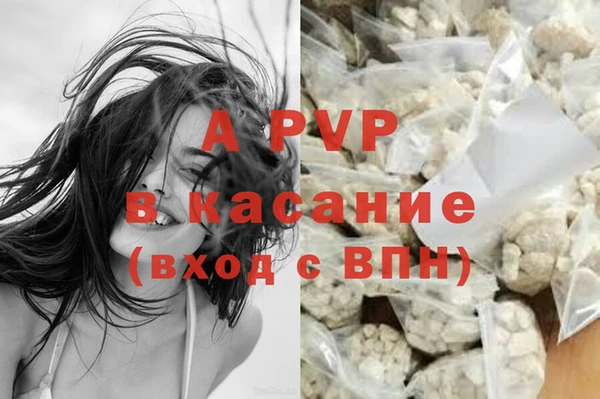 стаф Липки