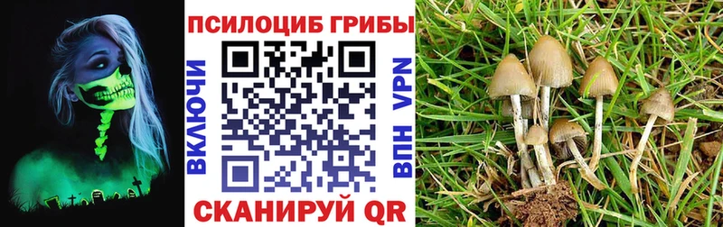 Галлюциногенные грибы Psilocybine cubensis  Купить  Переславль-Залесский 