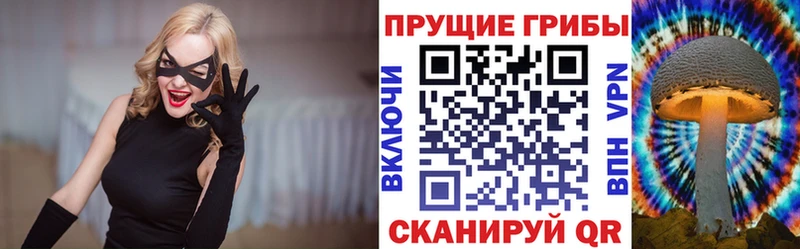 Псилоцибиновые грибы Magic Shrooms Переславль-Залесский